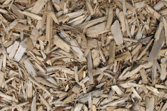 biomass boilers Drymuir